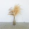 Fles met pampas pluim 