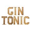 GIN TONIC lichtletters klein