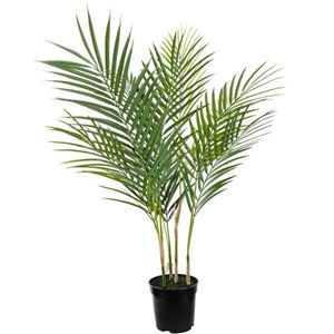Goudpalm