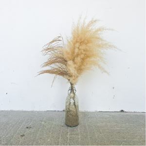 Fles met pampas pluim 