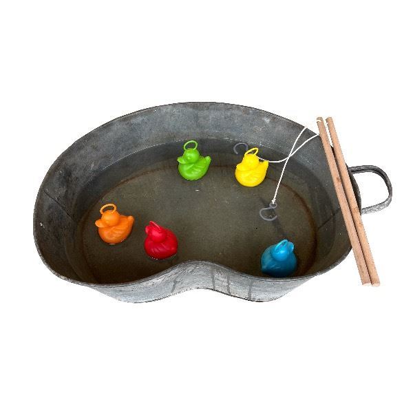 Eendjes vangen 